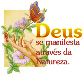 CAMISETA MASCULINO E FEMININO - DEUS